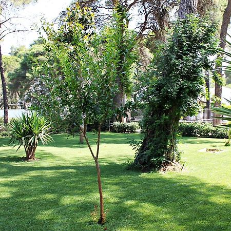 Il Melograno B&B Castellaneta Marina Extérieur photo