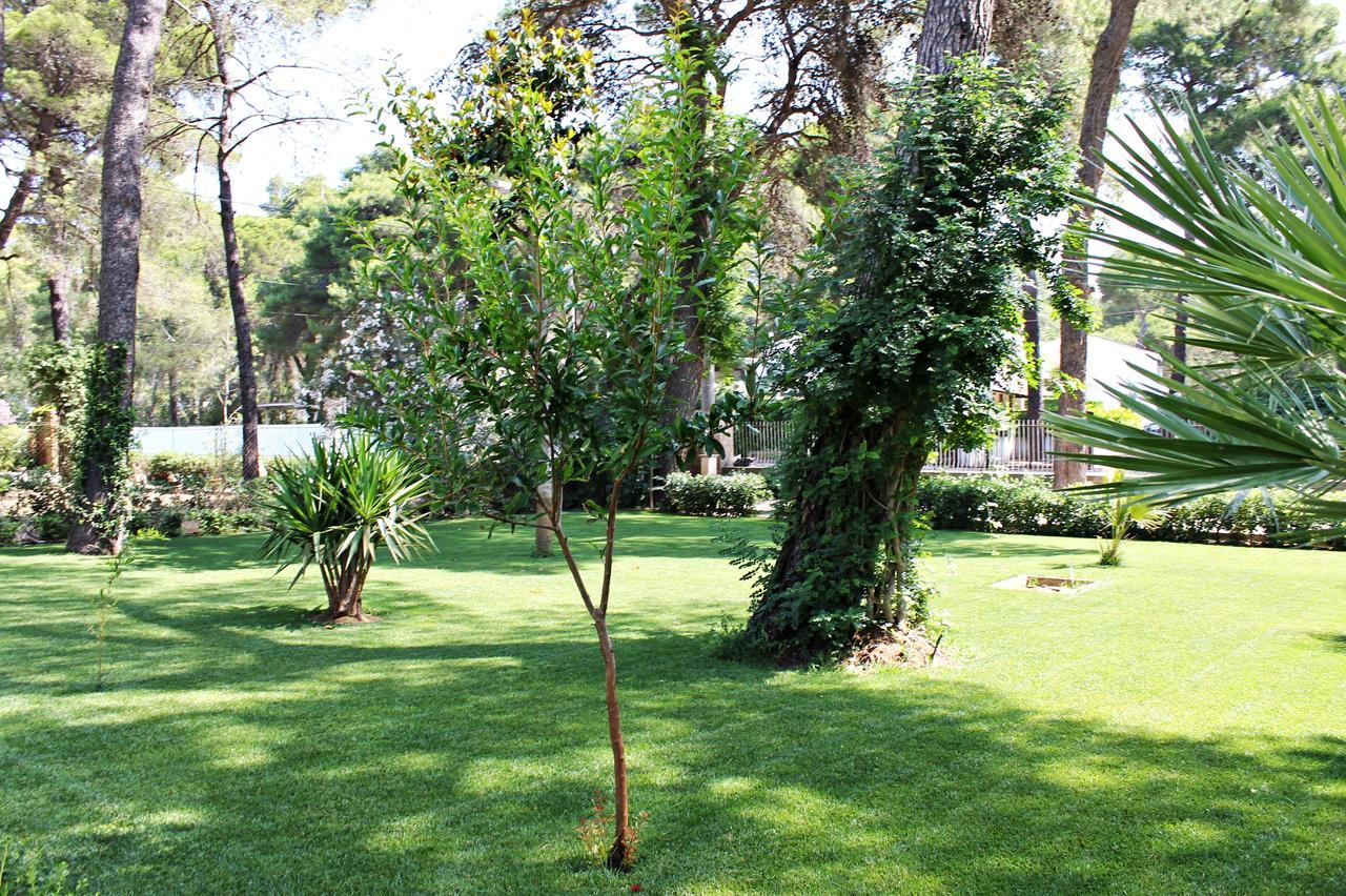 Il Melograno B&B Castellaneta Marina Extérieur photo